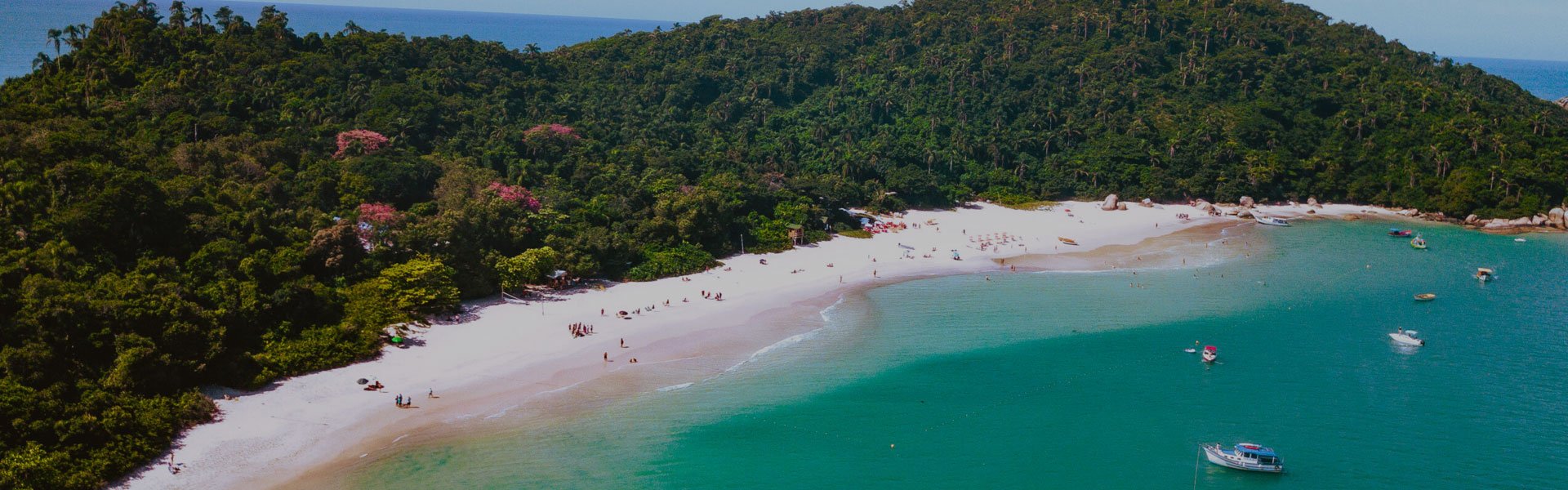 ? lha do Campeche: Passeio Exclusivo com Saída da Praia da Armação