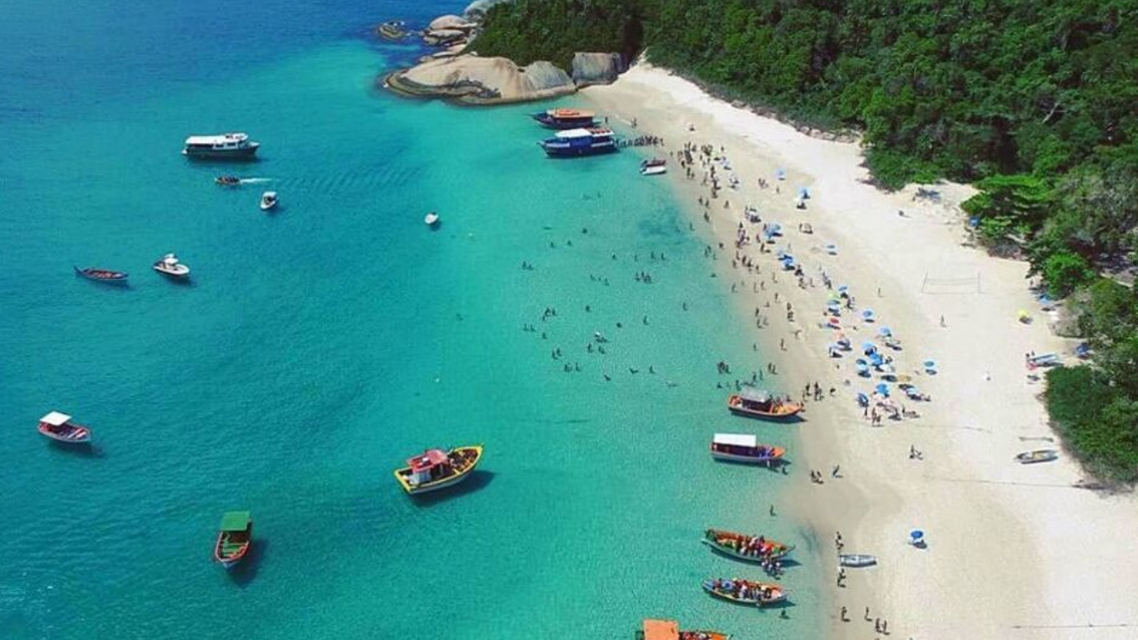 ? lha do Campeche: Passeio Exclusivo com Saída da Praia da Armação