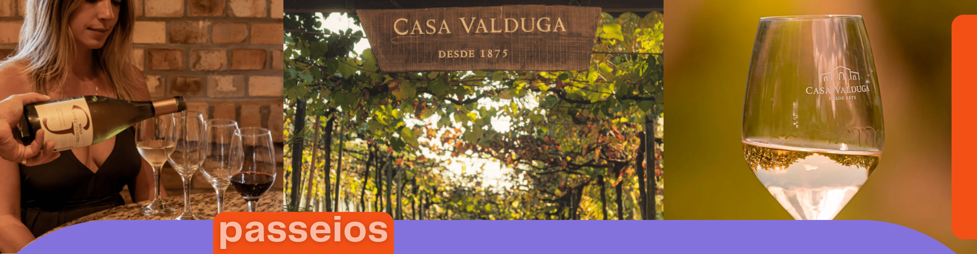 Tour Vinhedos + Casa Valduga e Vinícola Miolo