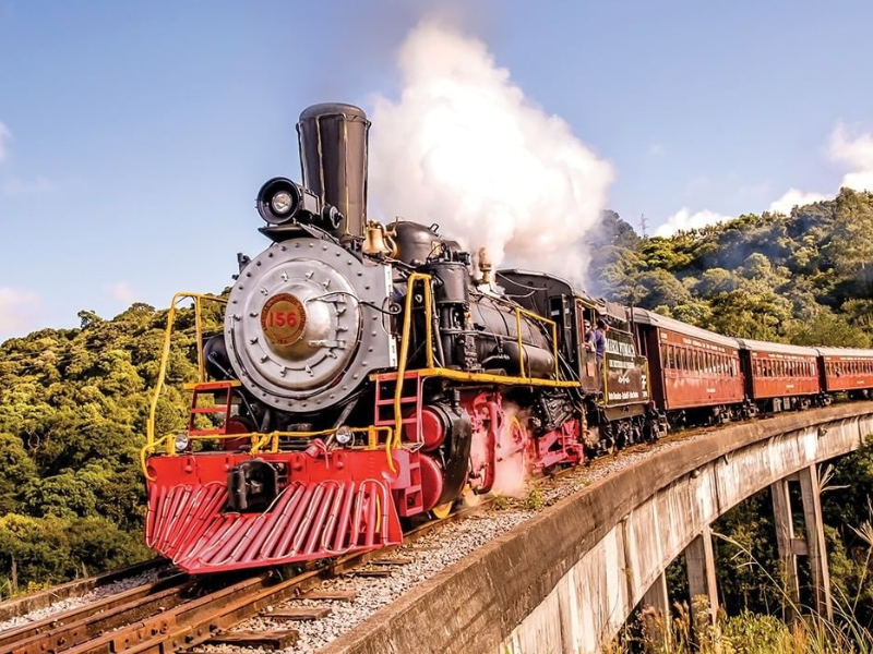 Tour Uva e Vinho + Ingresso Maria Fumaça