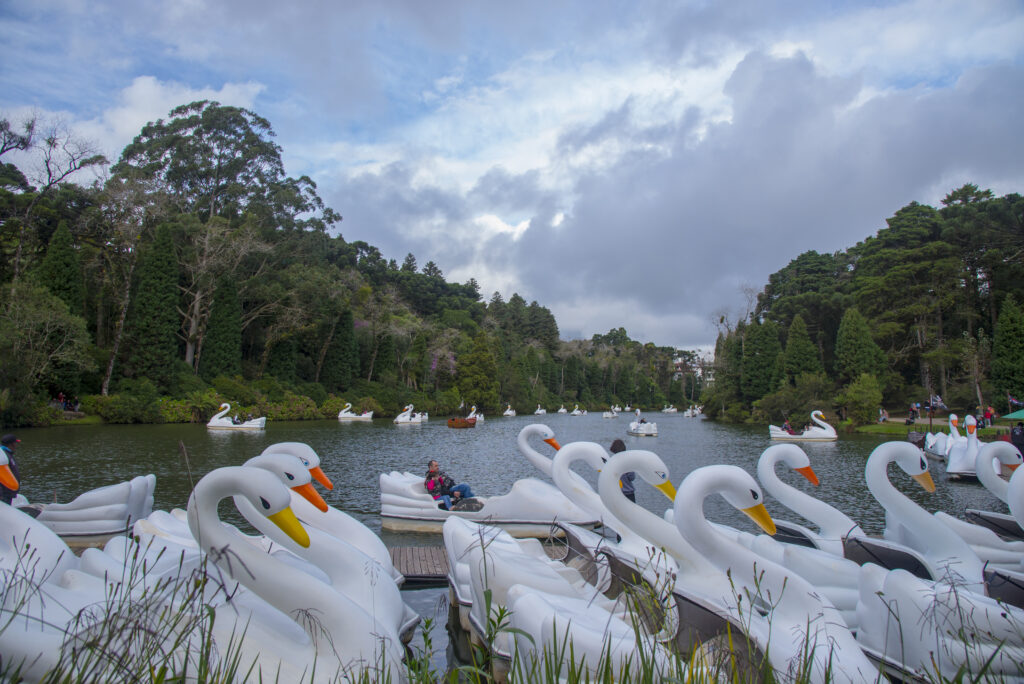 City Tour Gramado e Canela Tradicional